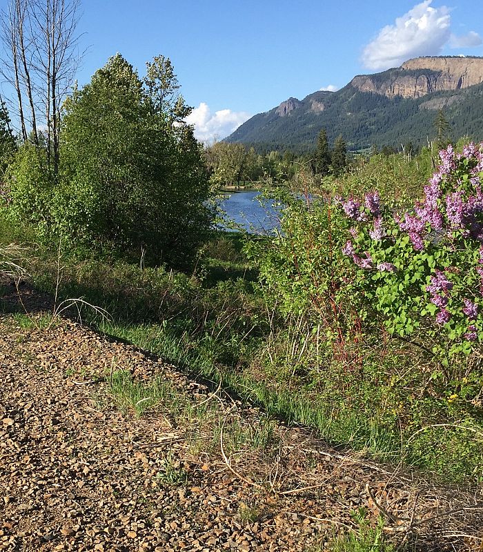 RAIL TRAIL MAINTENANCE UNDERWAY
